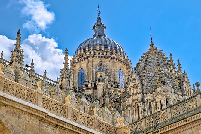 2 Hours Private Guided Walking Tour in Salamanca - Why this 2-hour route works in Salamanca