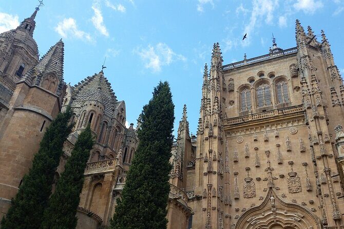 3-hour Private Tour of Salamanca - A Private 3-Hour Walk That Actually Helps You Understand Salamanca