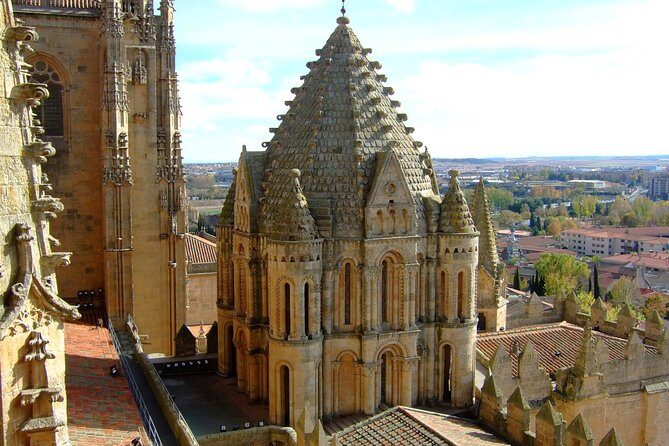 4-Day Northern Spain Guided Tour from Madrid - Day 4: Salamanca’s Plaza Mayor and back to Madrid