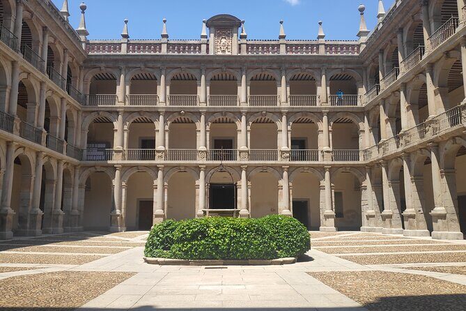 Alcala de Henares and Cervantes Guided Tour from Madrid - Key things I’d clock before you go