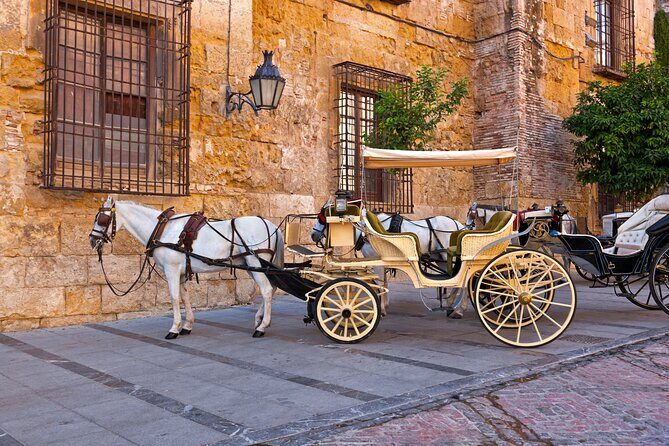 Andalusian Highlights: 6-Day Guided Tour from Madrid - Cordoba: from the Jewish Quarter to the Mosque-Cathedral