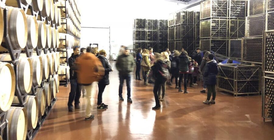 Aranda de Duero: Martín Berdugo Winery - Tour and Tasting - The 90-minute flow: tour first, tasting second
