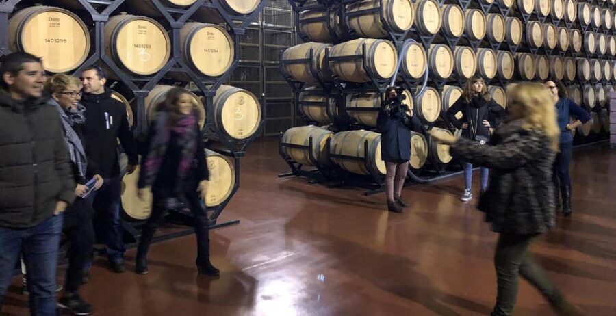 Aranda de Duero: Martín Berdugo Winery - Tour and Tasting - Winemaking room and barrel cellar: gravity tech and quiet aging