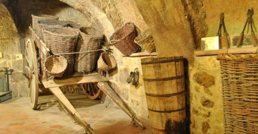 Aranda de Duero: Tour of Underground Cellar and Wine Museum - Who This Tour Fits Best (and Who Might Want Something Else)