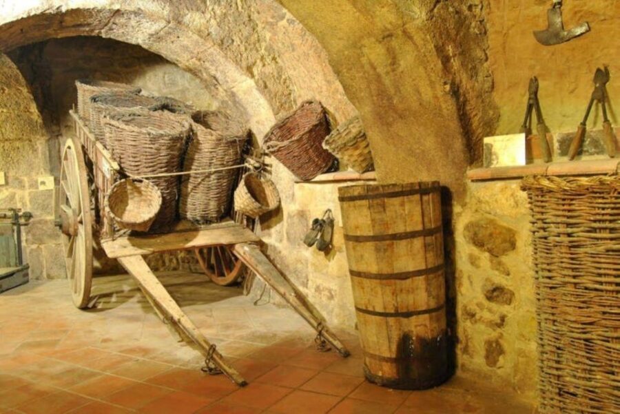 Aranda de Duero: Tour of Underground Cellar and Wine Museum - The 13th-Century Underground Cellar: What You Can Realistically Expect