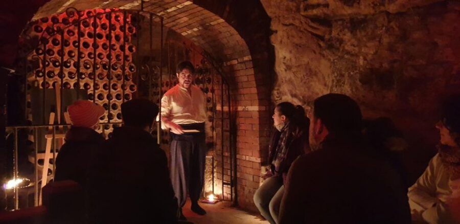 Aranda de Duero: Wine Tasting Course with Iberian Tasting - The tasting course: five Ribera del Duero wines, taught step-by-step