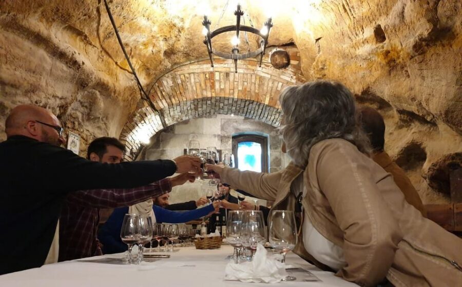 Aranda de Duero: Wine Tasting Course with Iberian Tasting - Who should book this wine course (and who might not)