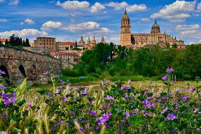 Avila and Salamanca : Magic and Small Group History from Madrid - Salamanca Cathedral and the Old City Walk: Where Styles Collide
