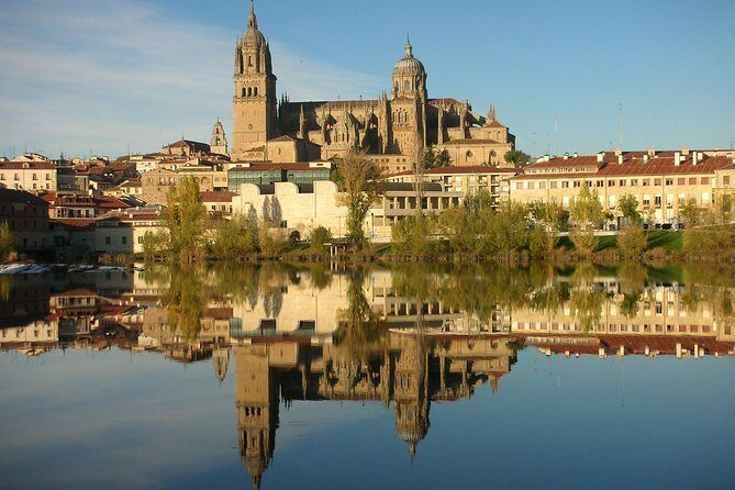 Best Private Full day Tour to Salamanca from Madrid hotel - Price and Logistics: Why $674.66 Can Still Feel Fair