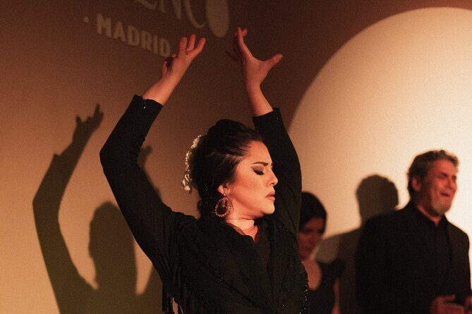 Centro Cultural Flamenco Madrid Admission Ticket - Entering Centro Cultural Flamenco: what the room really does to the show