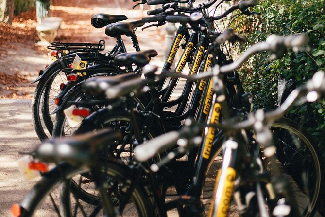 City Bike Rental with Phone Holder and Self Guided Tour - How to plan an 8-hour day without burning out