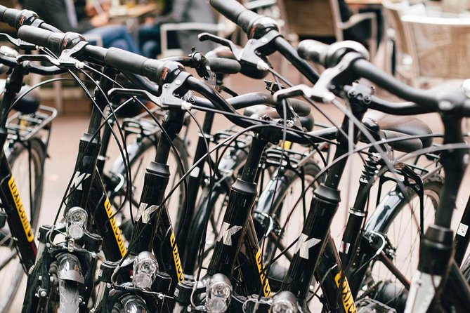 City Bike Rental with Phone Holder and Self Guided Tour - Parks and green breaks for families