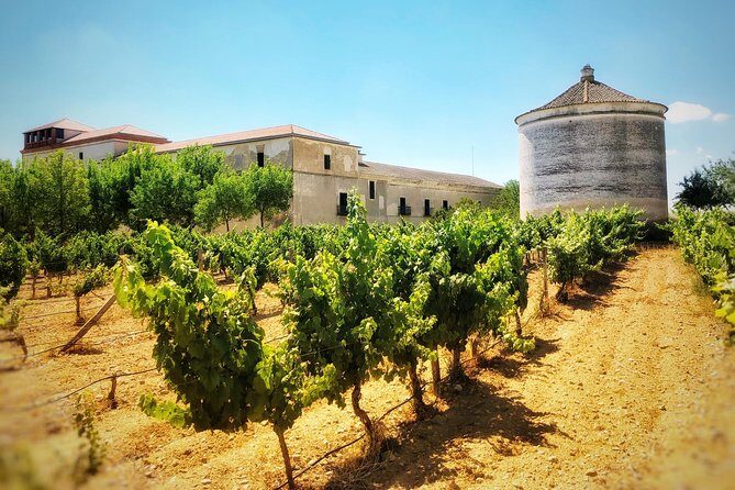 Discover the authentic wine culture of Rueda - Why Rueda Feels Different From Typical Wine Tours