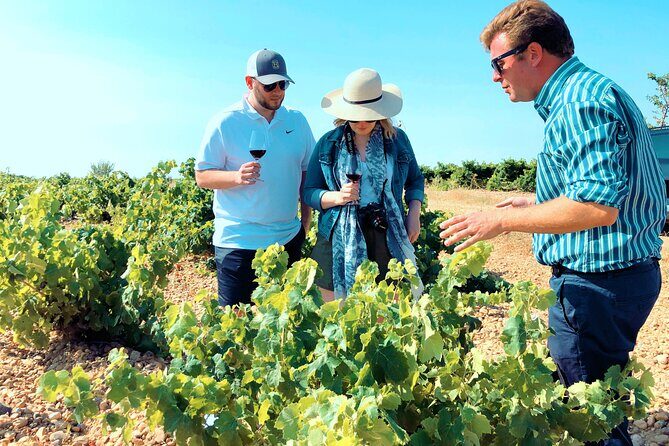 Discover the authentic wine culture of Rueda - Rueda Lunch in a Wine Village: Castilian Cooking With Verdejo Region Wine