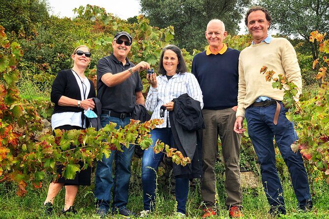 Discover the unique wine and villages of the Sierra de Salamanca - Second winery tour after lunch: more wine time, more perspective