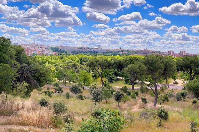 Ebike tour Madrid, green areas and panoramic views. 3 hours - Casa de Campo: Your Final Green Stretch Before You Roll Back