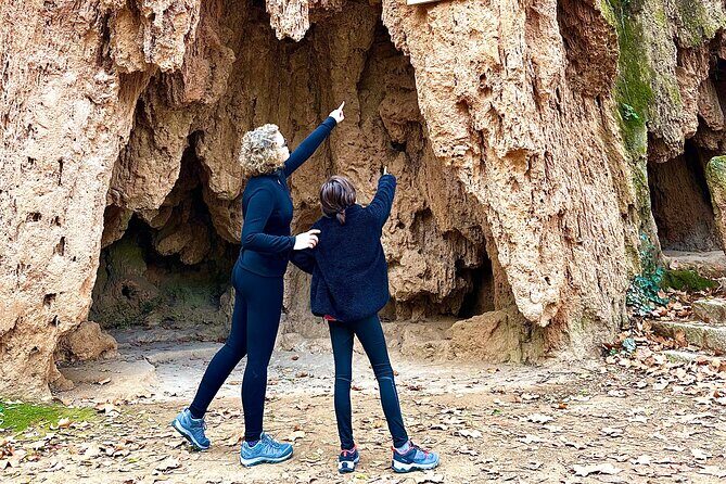 Explore the Stone Monastery and the Kingdom of Aragon from Madrid - Stop 3: Nuevalos lunch break for local Aragon-style food