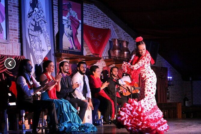 Flamenco night Show and Dinner in Madrid - The Flamenco Show: Dance, Singing, Music, and Your Expectations