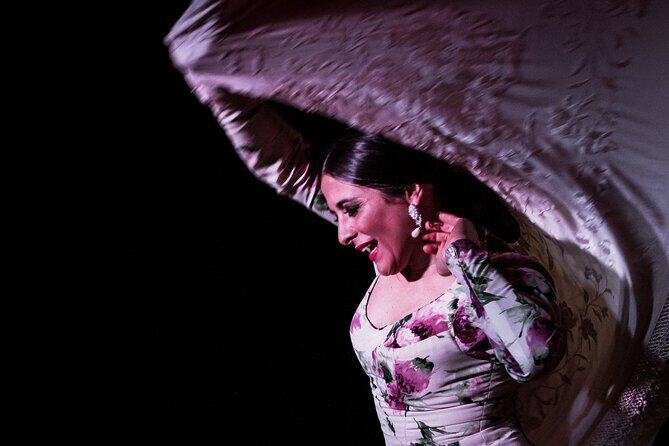 Flamenco Show at Café Ziryab: Madrid - Price and value: what you get for about $32.82