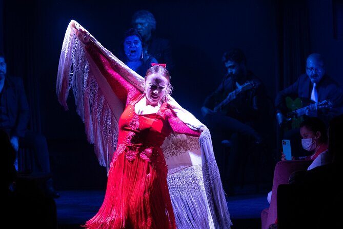 Flamenco Show at the Tablao Flamenco la Carmela - Who should book Tablao Flamenco La Carmela