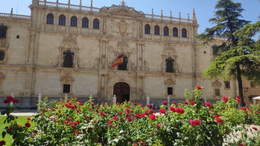 From Madrid: Alcalá de Henares & Cervantes Museum Day Trip - Plaza de Cervantes and the Archbishop’s Palace: royal connections you can actually point to