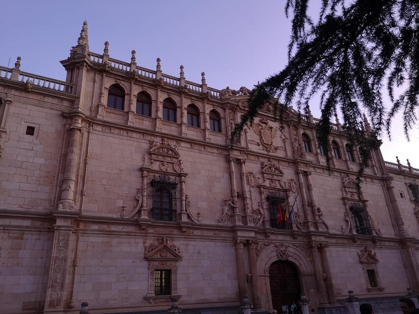From Madrid: Alcalá de Henares, Winery Tour & Wine Tasting - Guides matter here: what the top-rated experiences teach you