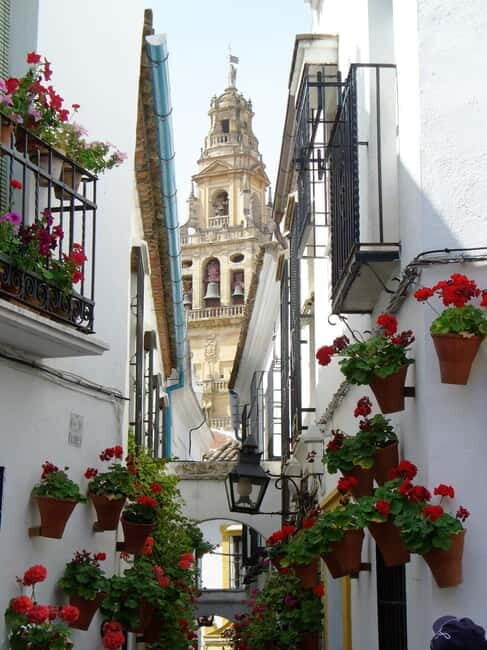 From Madrid: Cordoba and Mosque Day Trip by High-Speed Train - Key things I’d pay attention to