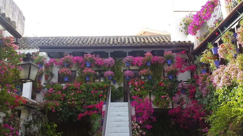 From Madrid: Cordoba and Mosque Day Trip by High-Speed Train - Group flow, guide quality, and what to pack for an 11-hour day