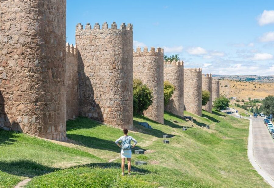 From Madrid: Day Trip to Ávila and Salamanca w/ Guided Tour - A Full-Day Two-UNESCO Plan That Starts in Salamanca