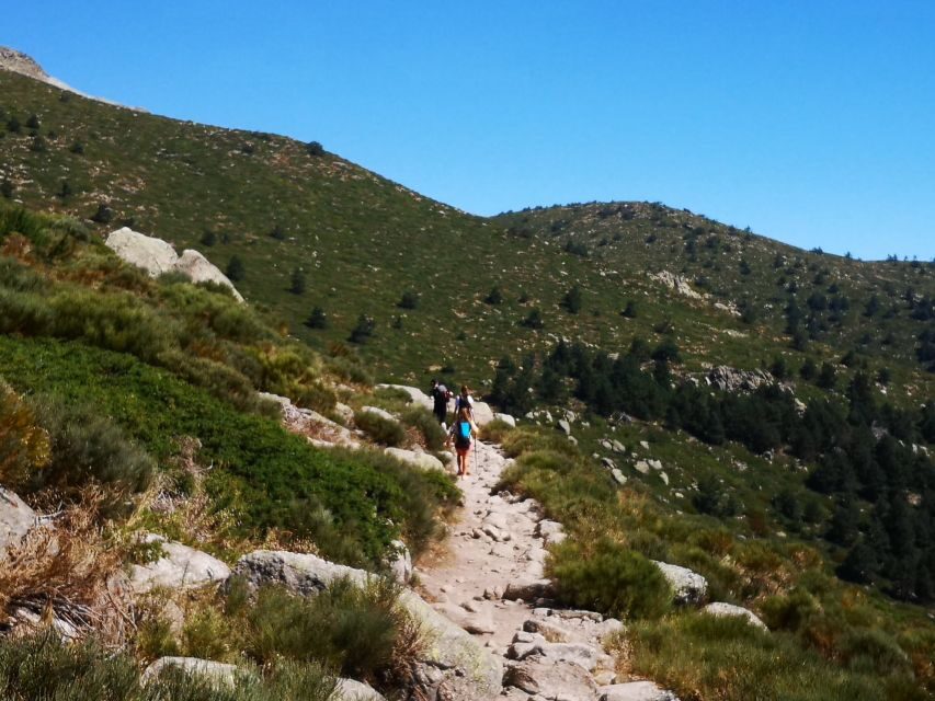 From Madrid: Day Trip to Guadarrama National Park - Lunch in Navacerrada: the built-in reset (food isn’t included)