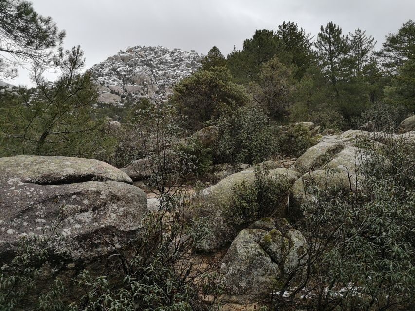 From Madrid: Day Trip to Guadarrama National Park - Rascafría and the castle photo stop: texture, not bulk time