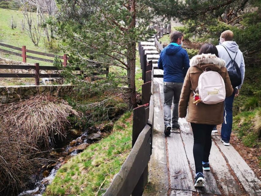 From Madrid: Day Trip to Guadarrama National Park - Wildlife and plants: how the guide helps you actually see things
