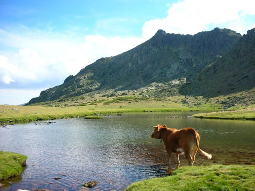 From Madrid: Day Trip to Guadarrama National Park - Getting there from Plaza de España: expect a long but efficient loop
