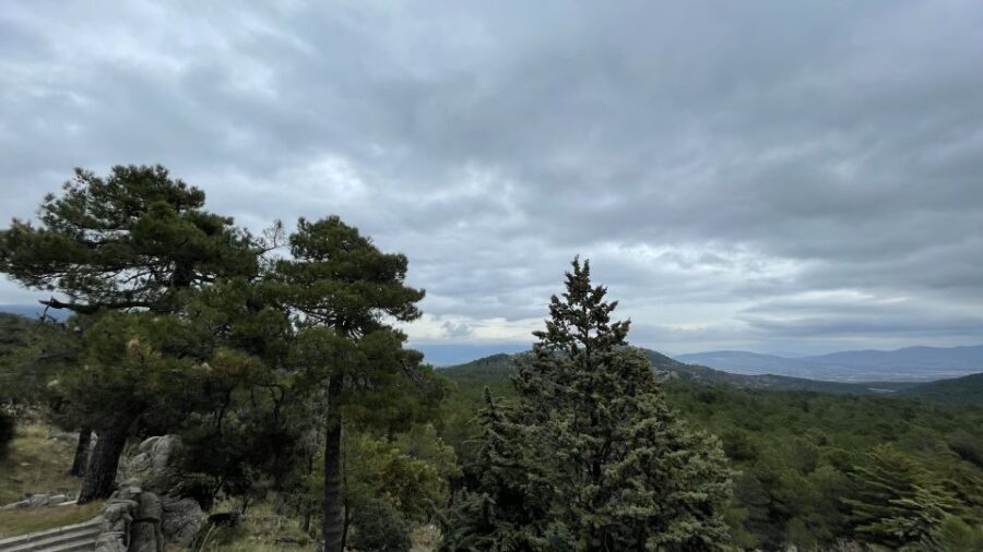 From Madrid: Escorial Monastery and the Valley of the Fallen - Price and value: what $73 buys you in Madrid