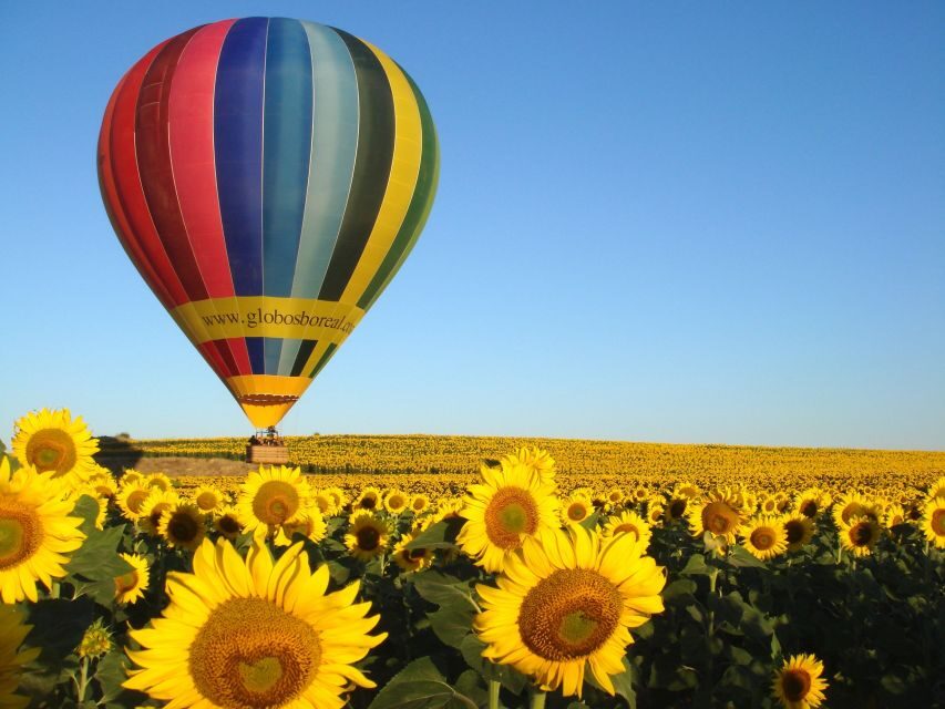 From Madrid: Hot Air Balloon Ride in Segovia with Pickup - Who this Segovia balloon ride is best for