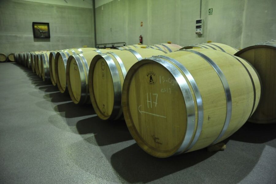 From Madrid: Ribera del Duero Tour of 3 Wineries w/ Tastings - Stop 1 in Aranda de Duero: avant-garde winery design that still serves the wine