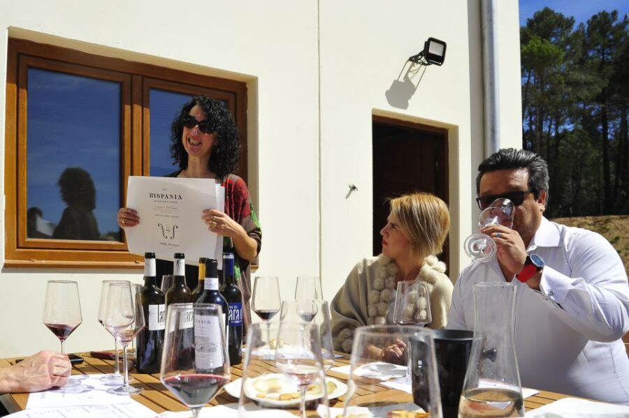 From Madrid: Ribera del Duero Tour of 3 Wineries w/ Tastings - How the tastings work: getting the most from 8+ wines