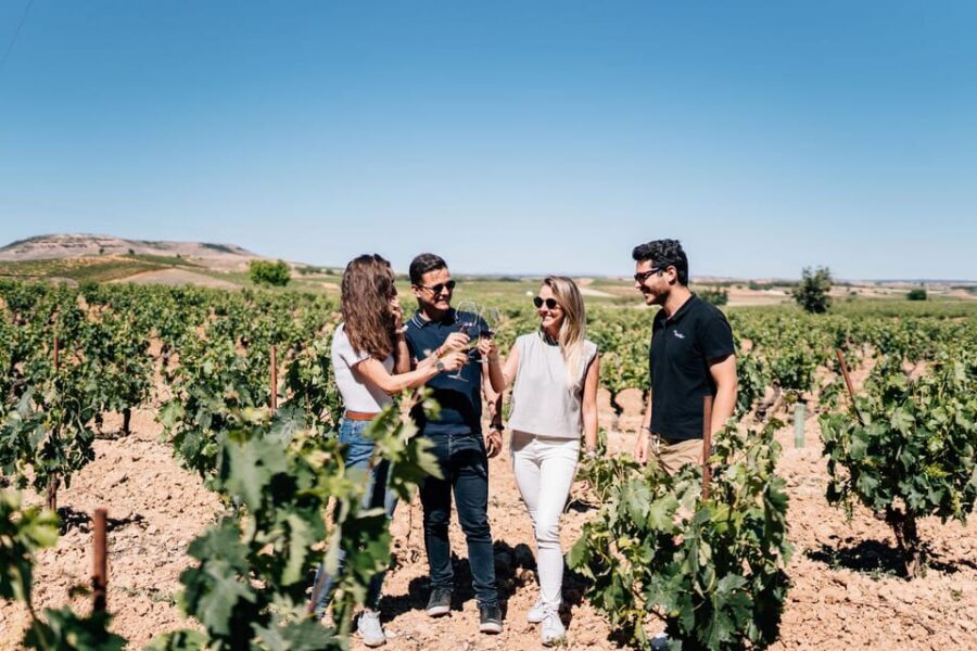 From Madrid: Ribera del Duero Winery and Segovia Tour - Why Ribera del Duero and Segovia fit together so well