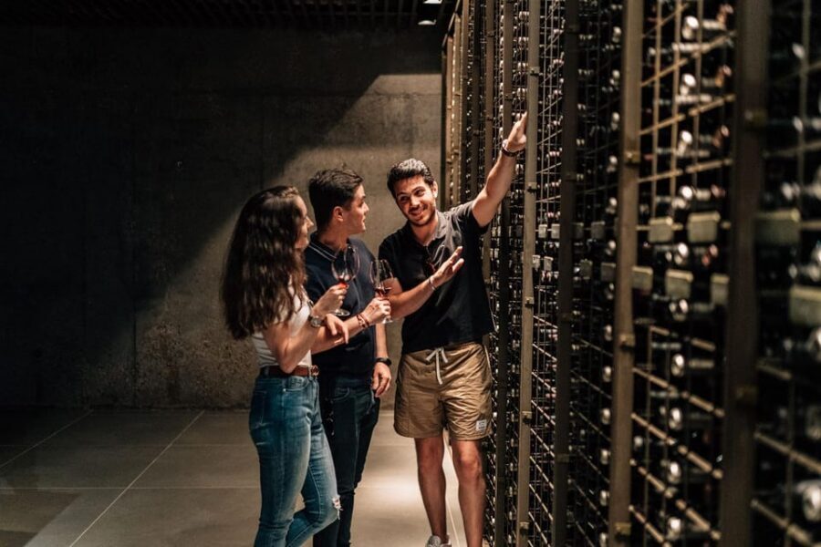 From Madrid: Ribera del Duero Winery and Segovia Tour - Price and value: what $261 gets you (and why it can be worth it)