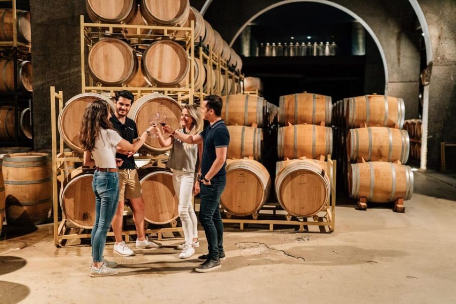 From Madrid: Ribera del Duero Winery and Segovia Tour - Getting to the wine region: the coach ride is part of the plan