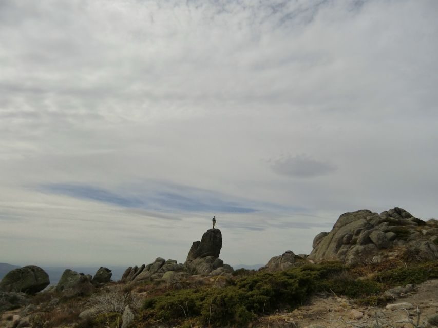 From Madrid: Sierra de Guadarrama Hiking Day Trip - Key Highlights You’ll Feel Right Away
