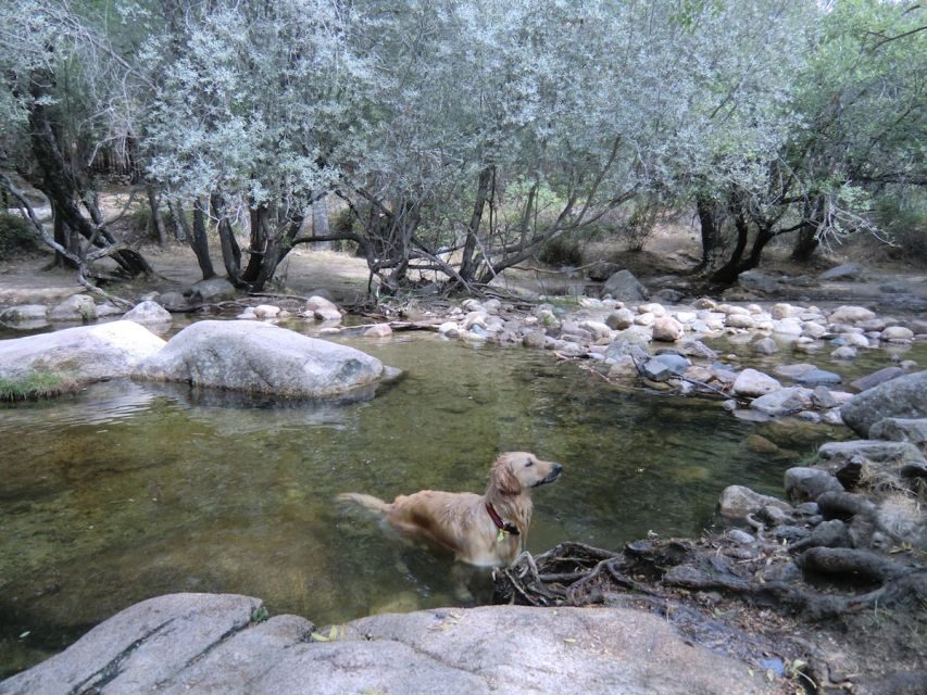 From Madrid: Sierra de Guadarrama Hiking Day Trip - The Big Practical Win: You Don’t Have to Figure Everything Out