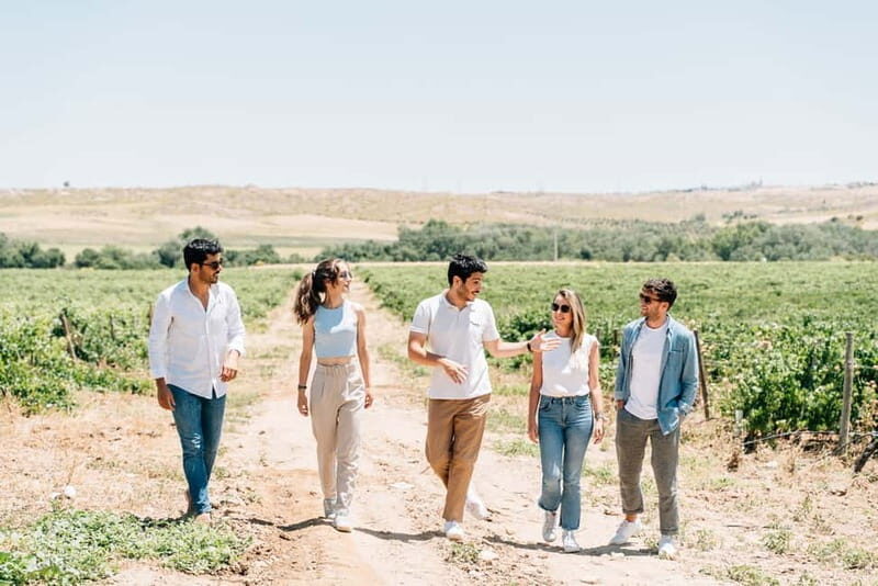 From Madrid: Toledo City Tour and Wine Tasting Experience - What to watch for: walking, timing, and who this day trip fits