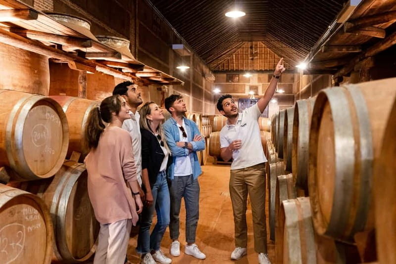 From Madrid: Toledo City Tour and Wine Tasting Experience - Jewish Quarter walking tour: the City of 3 Cultures makes sense on foot