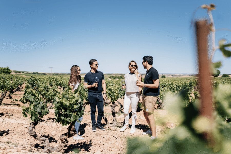 From Madrid: Traditional Villages, Winery Tour & Tapas Lunch - Key Highlights That Make This Tour Worth Your Time