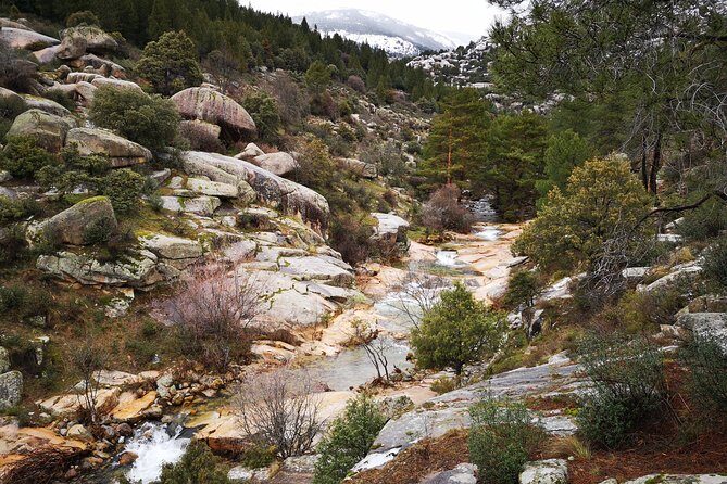 Full-Day Private Guided Tour to Guadarrama National Park - Morning logistics: starting in Madrid and getting into the mountains early