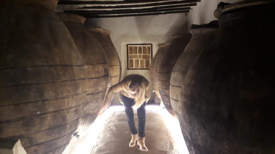 GUIDED VISIT TO BODEGA DEL NERO WINERY - Why this visit works (key takeaways)