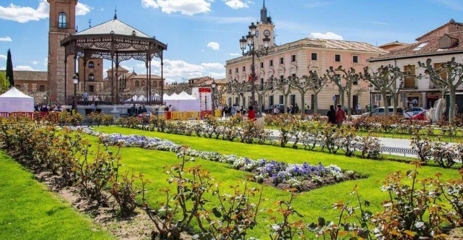 Half-Day Trip from Madrid: Alcalá de Henares & Winery Visit - Calle Mayor and the University of Alcalá: understanding the town’s layout