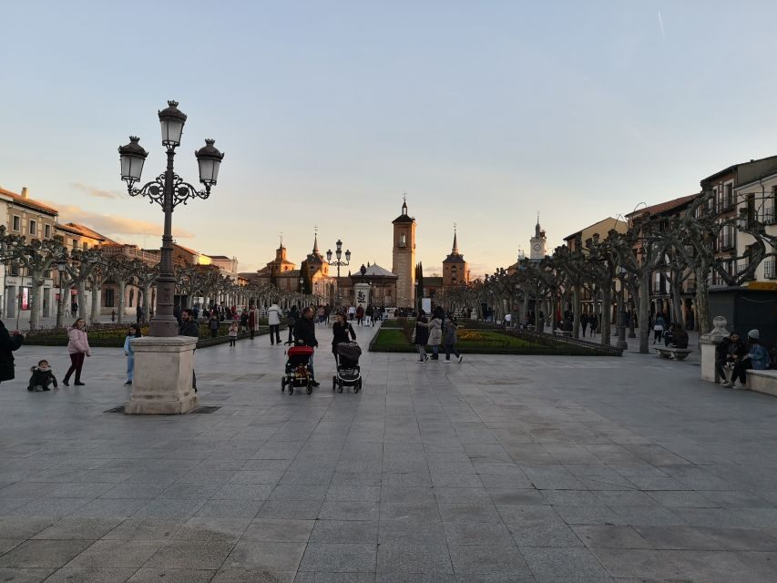 Half-Day Trip from Madrid: Alcalá de Henares & Winery Visit - From streets to wine: the guided cellar tour and tasting you’ll want