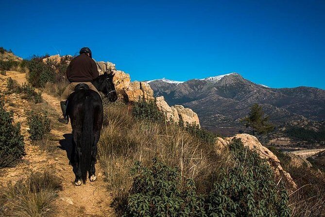 Horse Riding Madrid Natural Park - Sierra de Guadarrama: the quick nature fix from Madrid